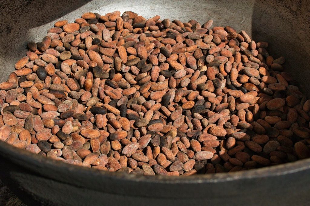 Close-up of raw cocoa beans in a container, showcasing natural colors and textures.